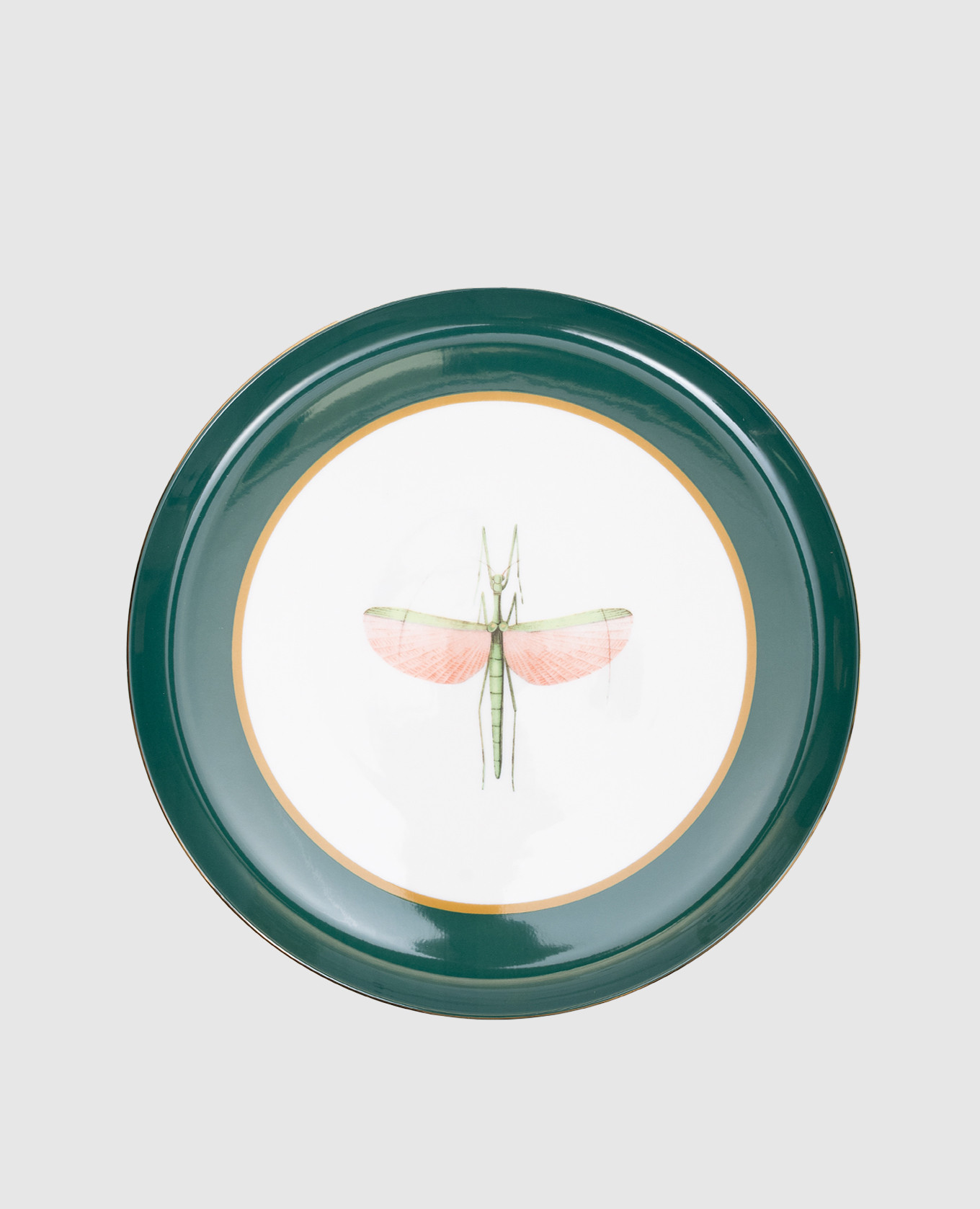 

Libellula print green porcelain cake tin with 18k gold plating La DoubleJ