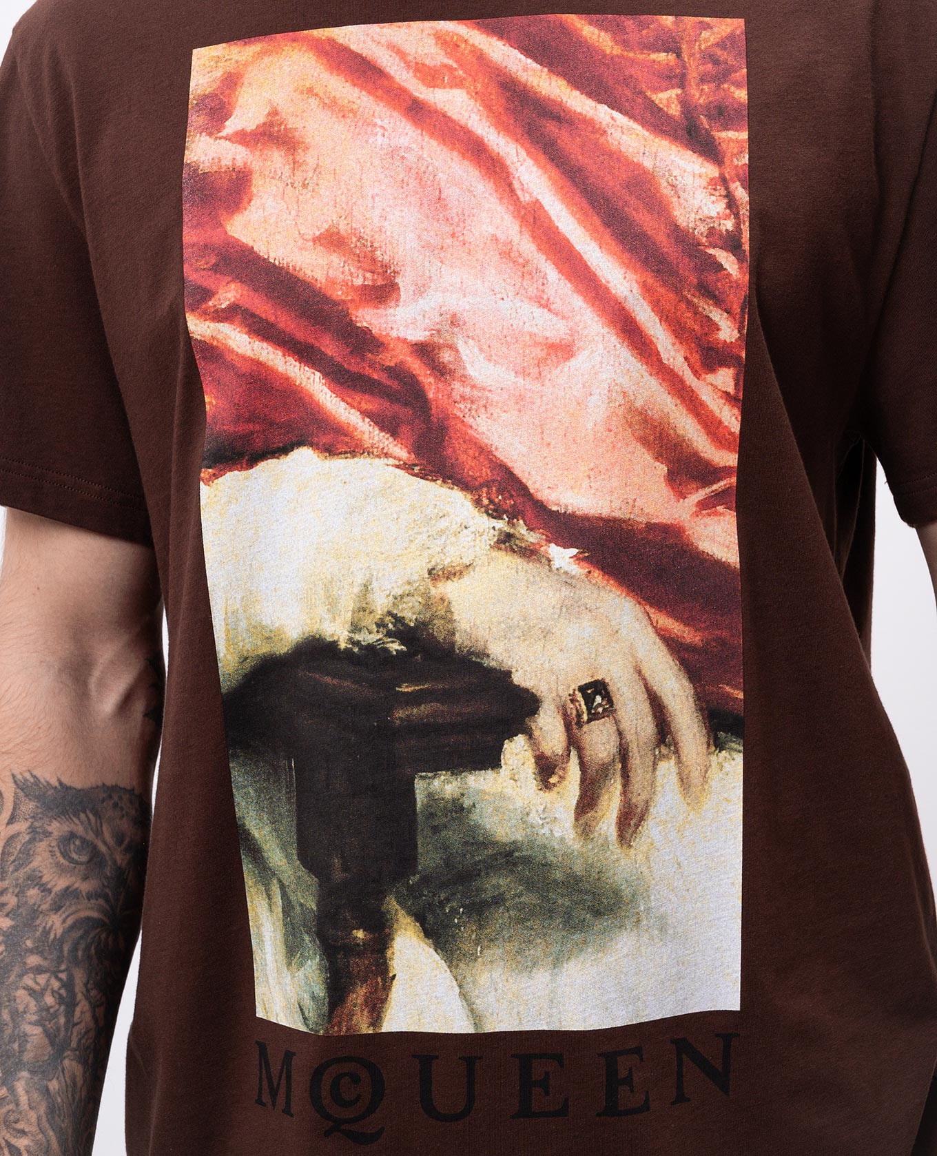 

Brown T-shirt with print Alexander McQueen