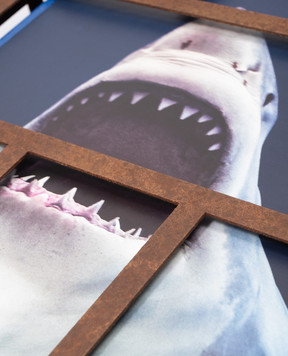 TASCHEN Sharks book. Michael Muller MULLERSHARKS
