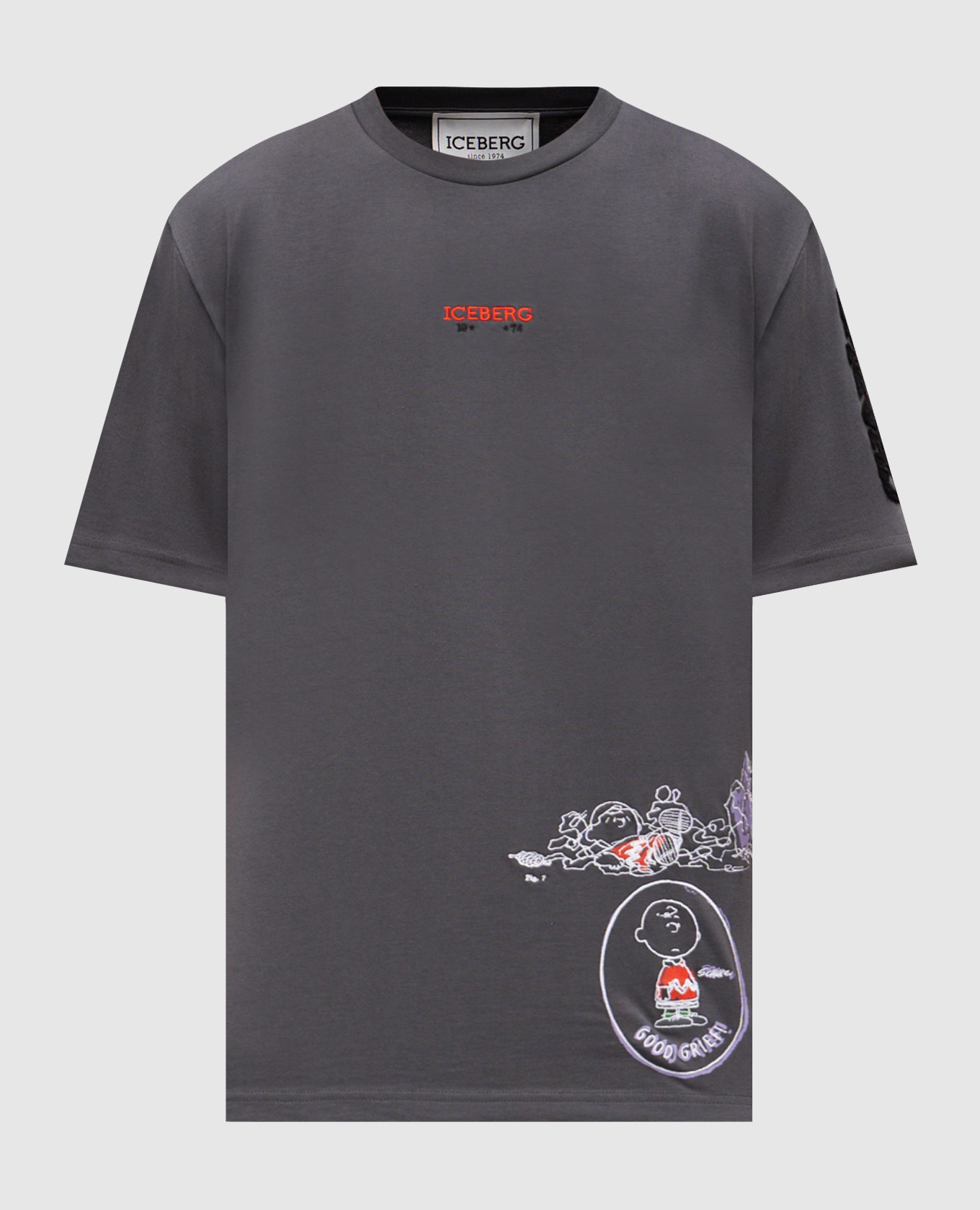 Gray T-shirt with branded embroidery Iceberg