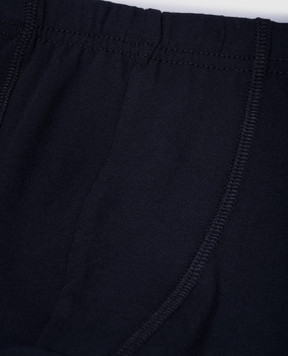 Story Loris Children's blue boxer briefs 1740856