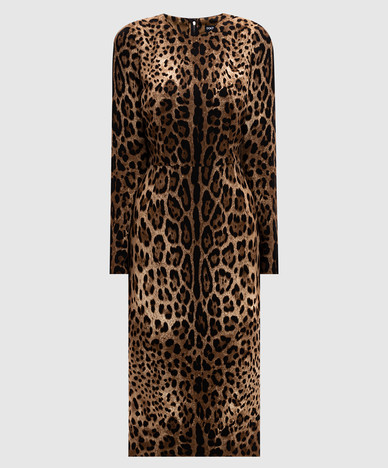 Dolce&Gabbana