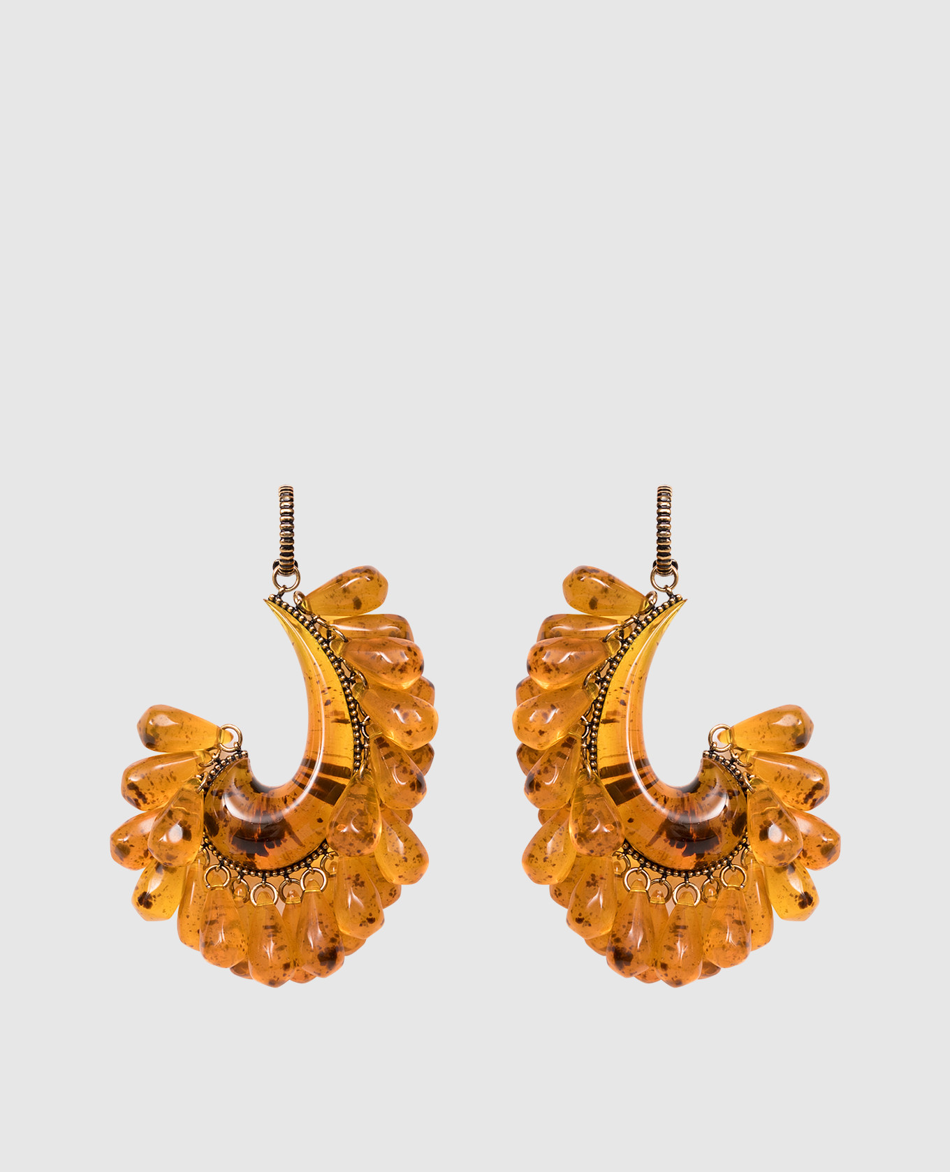 Brown Paisley Earrings Etro