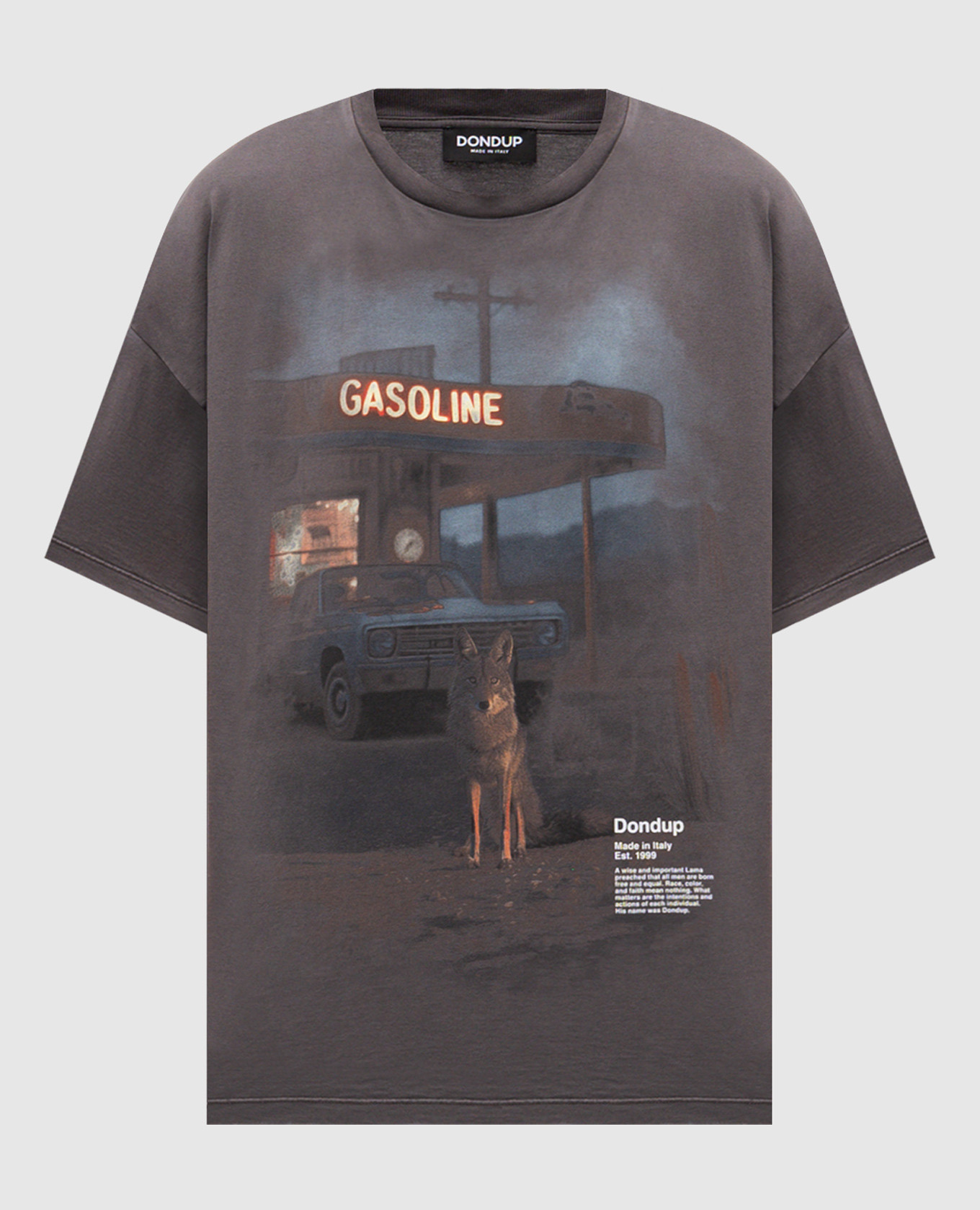 Gray T-shirt with print Dondup