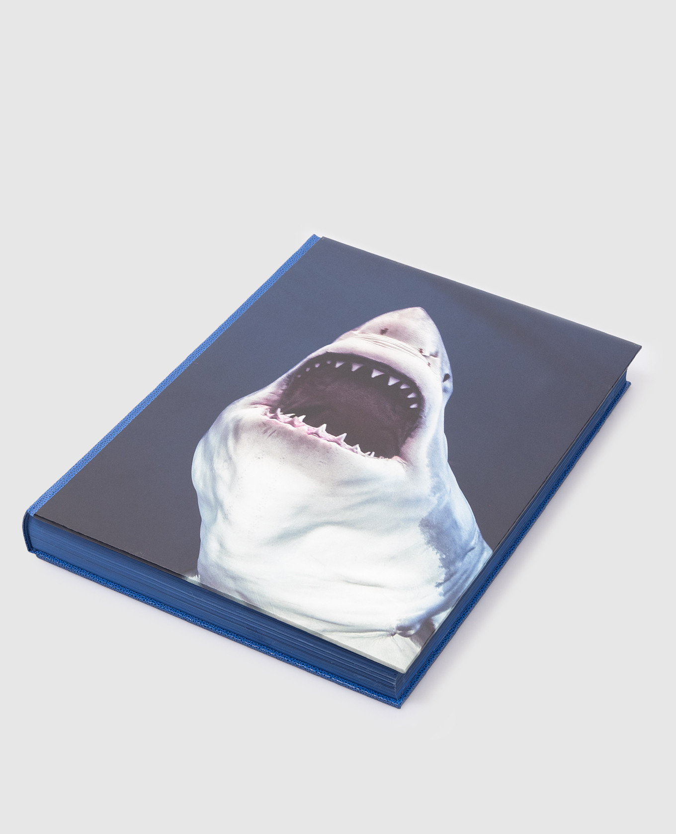 

Sharks book. Michael Muller TASCHEN, Blue