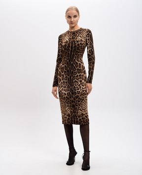 Dolce&Gabbana Brown animal print midi dress F6ZJ7TFSRKI
