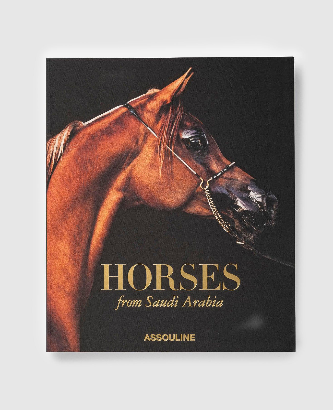 

The book HORSES FROM SAUDI ARABIA Assouline, Black