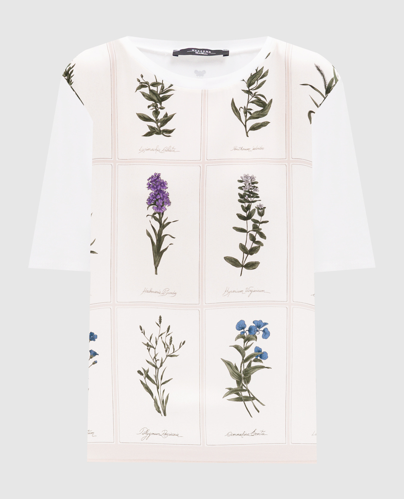 

Beige PAMPAS silk printed t-shirt Max Mara Weekend