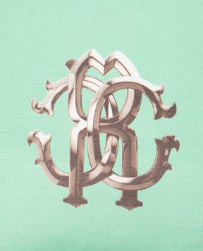 Roberto Cavalli Green decorative pillow with monogram print in animalistic print H0100000018С039