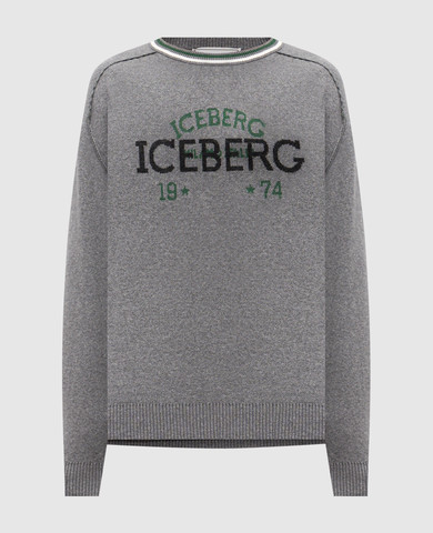 Iceberg
