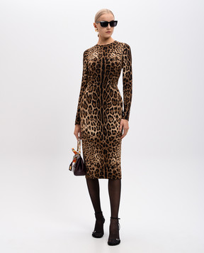 Dolce&Gabbana Brown animal print midi dress F6ZJ7TFSRKI