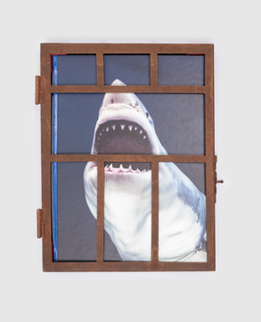 TASCHEN Sharks book. Michael Muller MULLERSHARKS
