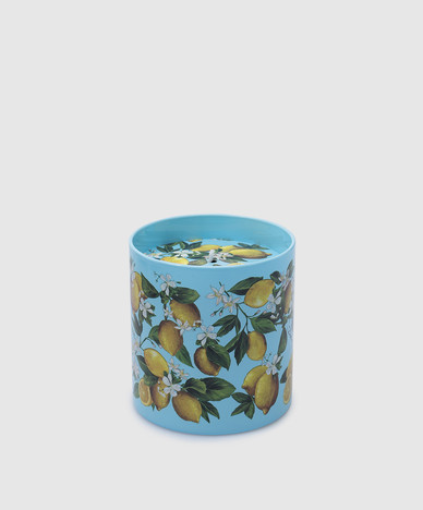 Dolce&Gabbana