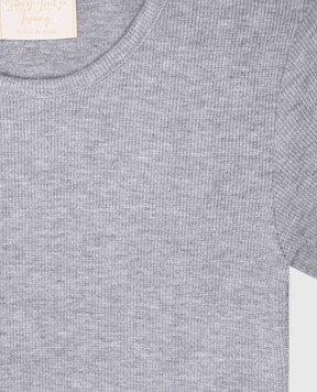 Story Loris Children's gray t-shirt with a scar 361246